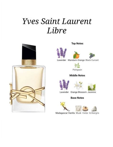 ysl edp top notes|ysl y edp smell.